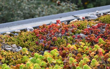 the cost of East Winterslow green roof installation