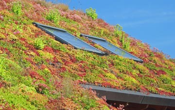 East Winterslow living roof systems